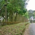 Terreno para Venda ou Locação