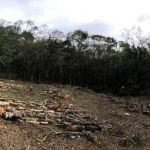 Terreno para Venda ou Locação
