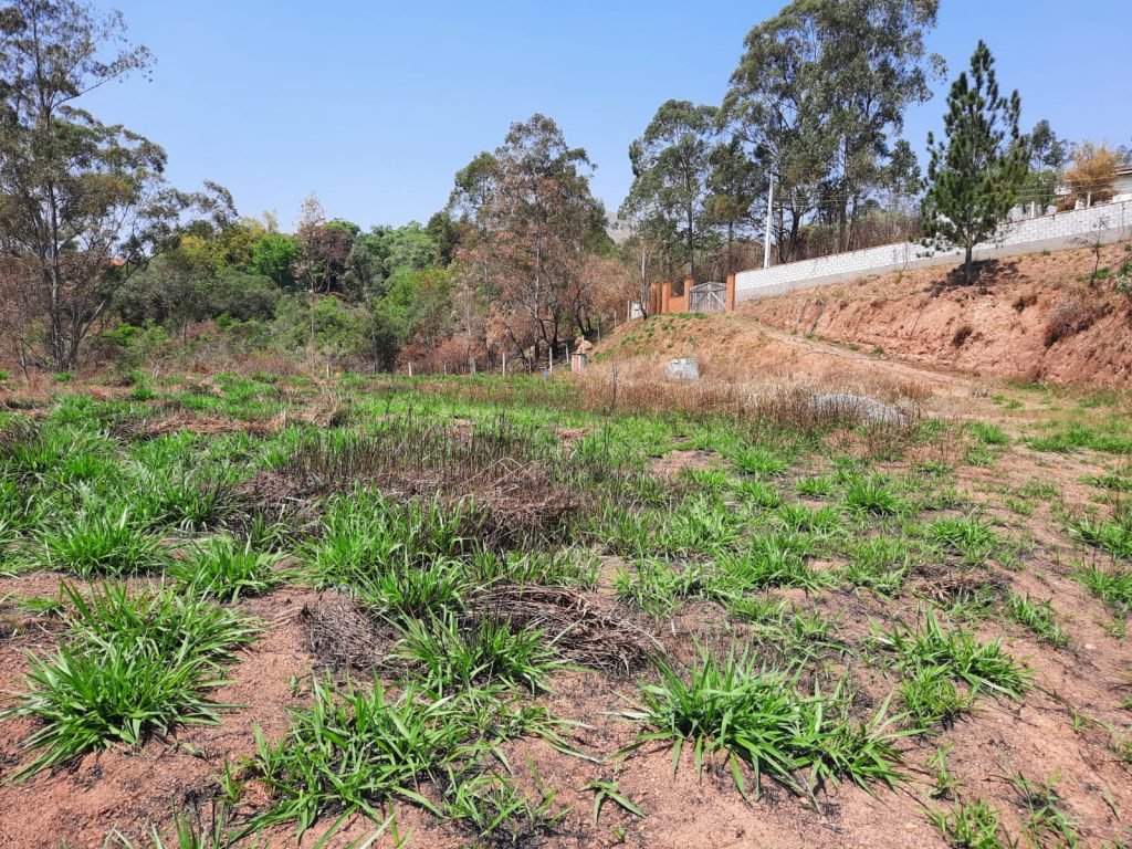 Terreno Bairro Saboó