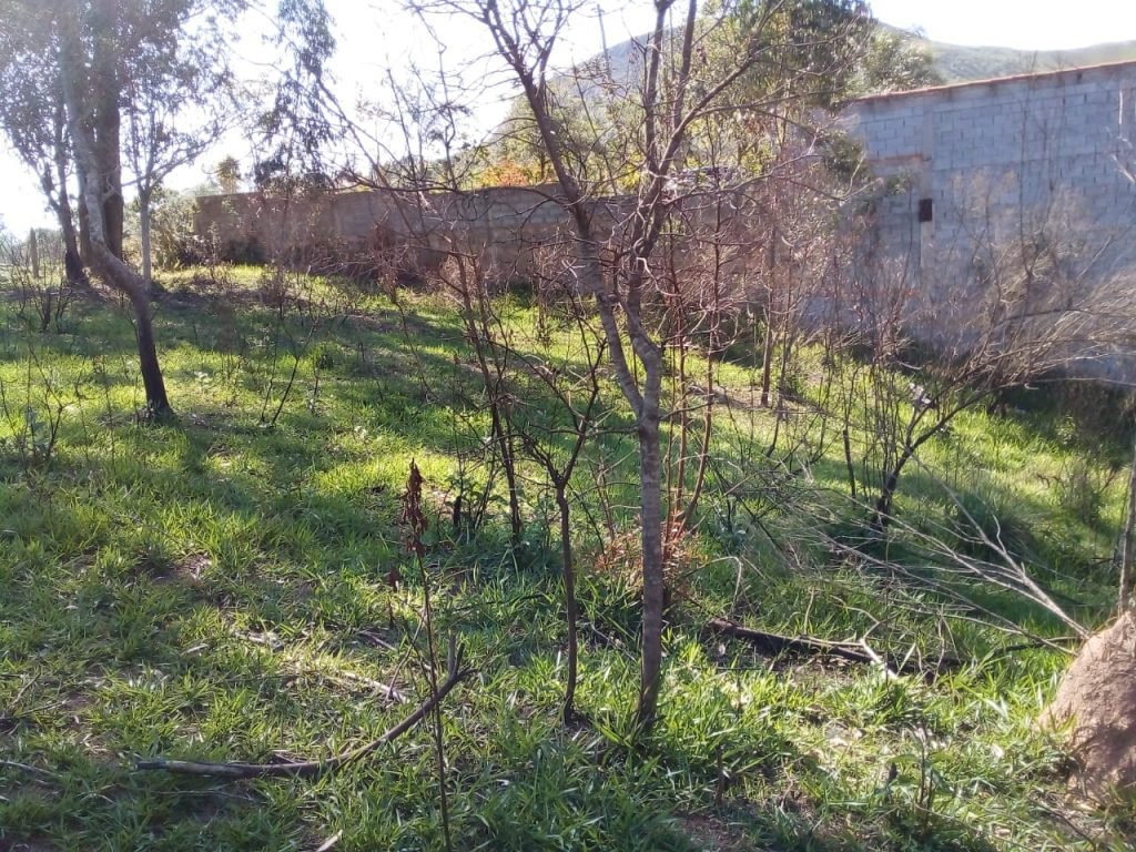 Terreno no Bairro Saboó