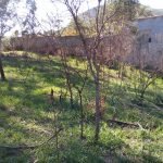 Terreno no Bairro Saboó
