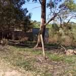 Terreno no Bairro Saboó