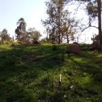 Terreno no Bairro Saboó
