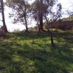 Terreno no Bairro Saboó