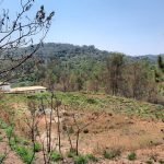 Terreno Bairro Saboó