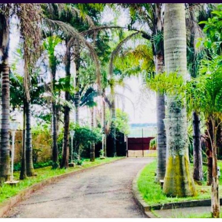 Chácara 5 km do Centro Ibiúna