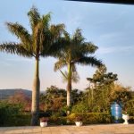 Linda chácara, perto da Fazenda Angolana