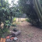 Terreno com excelente localidade