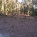 Terreno Planalto Verde