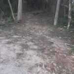 Terreno Planalto Verde