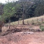 Sítio no Bairro dos Barros