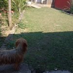 Linda Chácara