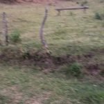 Sítio no Bairro dos Barros