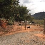 Sítio no Bairro dos Barros