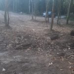 Terreno Planalto Verde