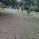 Sitio bairro Saboó