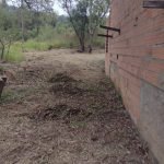 Ótima localidade no Bairro Saboó