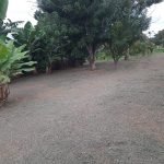 Sitio bairro Saboó
