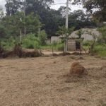 Ótima localidade no Bairro Saboó