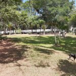 Sitio bairro Saboó