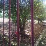 Ótima localidade