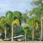 Area Comercial, Saboó, Bairro, Recanto das Acacias,