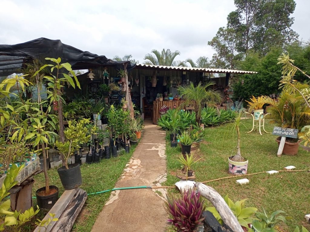 Saboó, Terreno Comercial