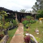 Saboó, Terreno Comercial