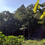 Linda chácara, Próximo ao Centro da cidade