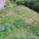Terreno, Bairro Parque Aliança