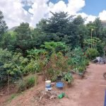 Chácara Bairro das Acácias, Saboó