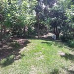 Chácara Bairro das Acácias, Saboó