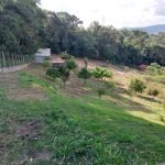 Linda chácara na Rota do Vinho