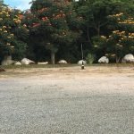 Lindo Sítio, ótima localização