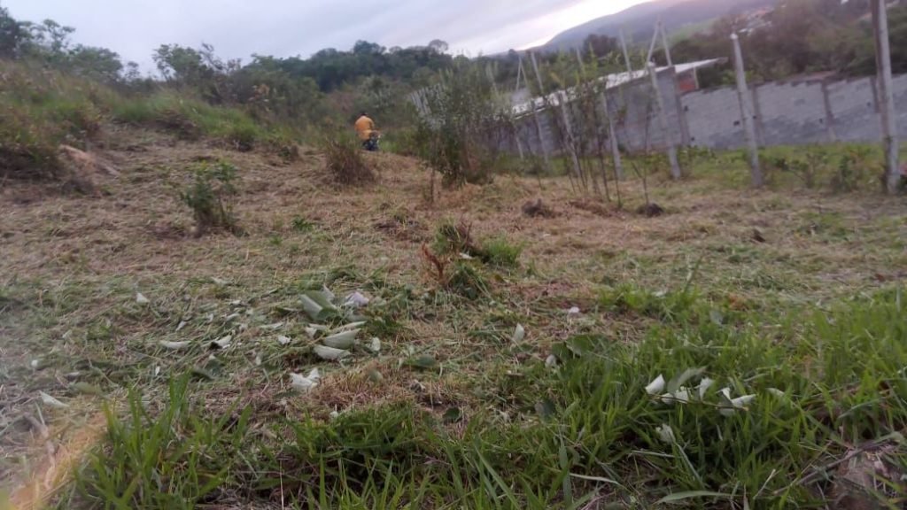 OTIMA VISTA, BAIRRO GUAÇU