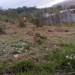 OTIMA VISTA, BAIRRO GUAÇU