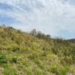 OTIMA VISTA, BAIRRO GUAÇU