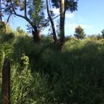 Terreno Mailasqui