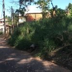 Terreno Mailasqui