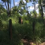 Terreno Mailasqui