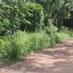 Terreno para investimento em Sorocamirim- São Roque!