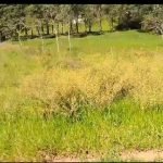 Terreno para investimento em Sorocamirim- São Roque!