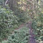 Terreno para investimento próximo a Rota do Vinho em São Roque!