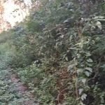 Terreno para investimento próximo a Rota do Vinho em São Roque!