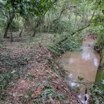 Oportunidade Imperdível: Charmosa Chácara à Venda em São Roque!