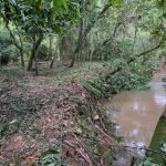 Oportunidade Imperdível: Charmosa Chácara à Venda em São Roque!
