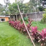 Ótima oportunidade! Casa à venda no bairro Canguera