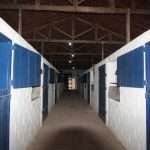 Haras