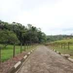 Haras