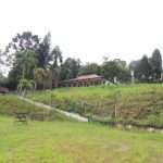 Haras